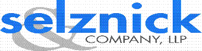 The Selznick Group 